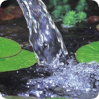 Aquamax Gravity Eco.jpg Aquamax Gravity Eco.jpg